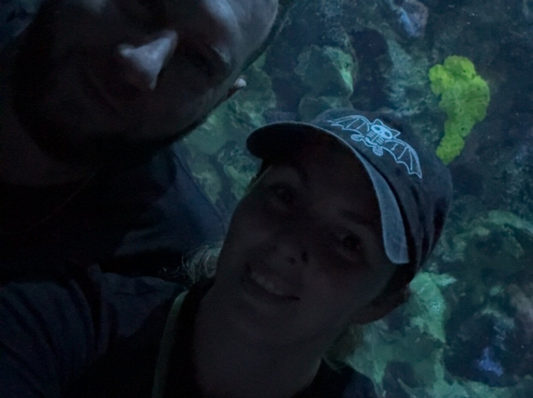 田纳西水族馆-查塔努加必去景点