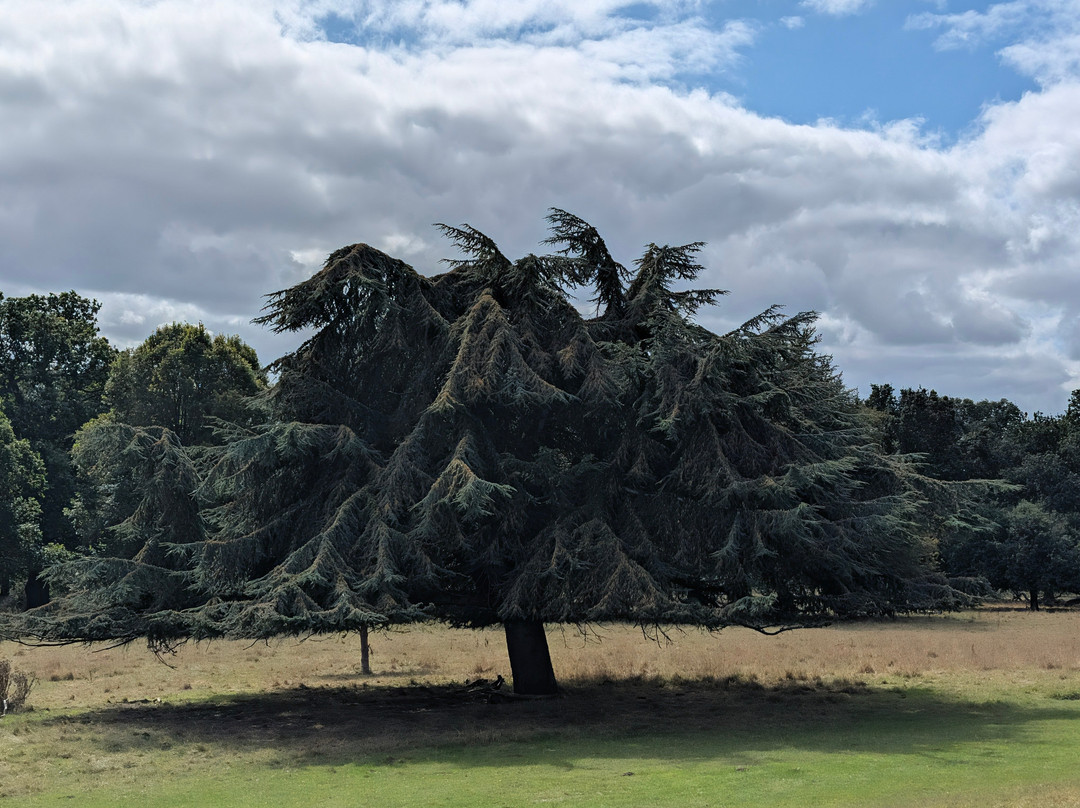 Killerton-Broadclyst必去景点