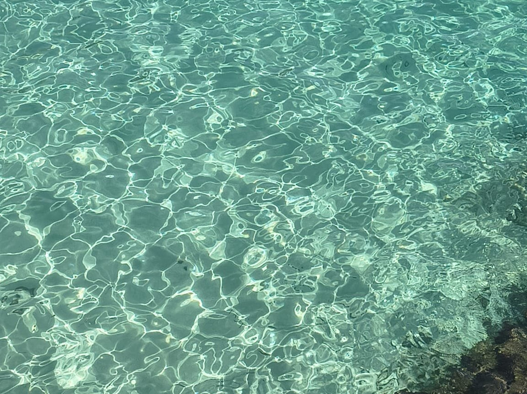 Cala Esmeralda Beach-卡拉多尔必去景点