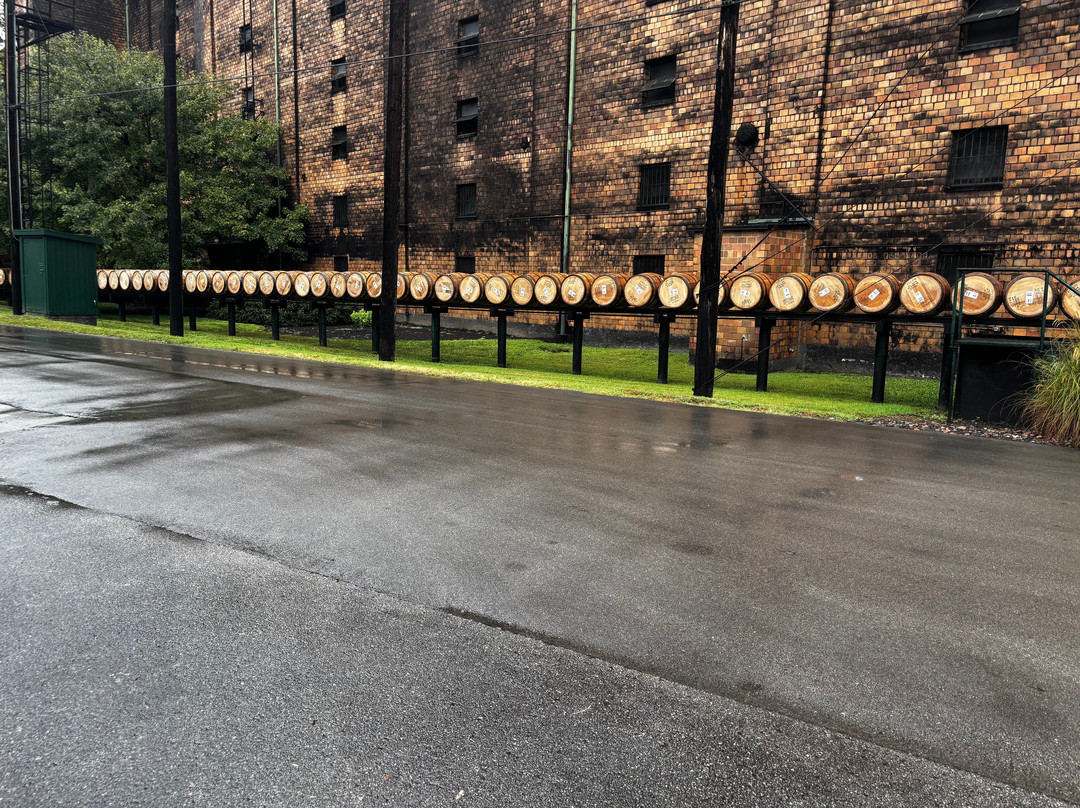 Buffalo Trace Distillery-法兰克福必去景点