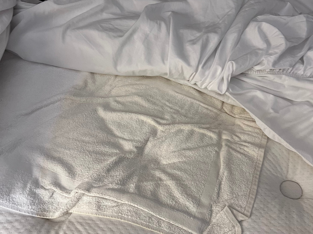 Holiday Inn & Suites 的林地主图