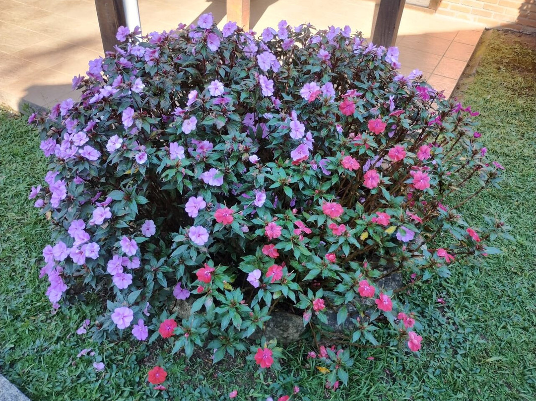 蒙特塞拉特宾馆主图