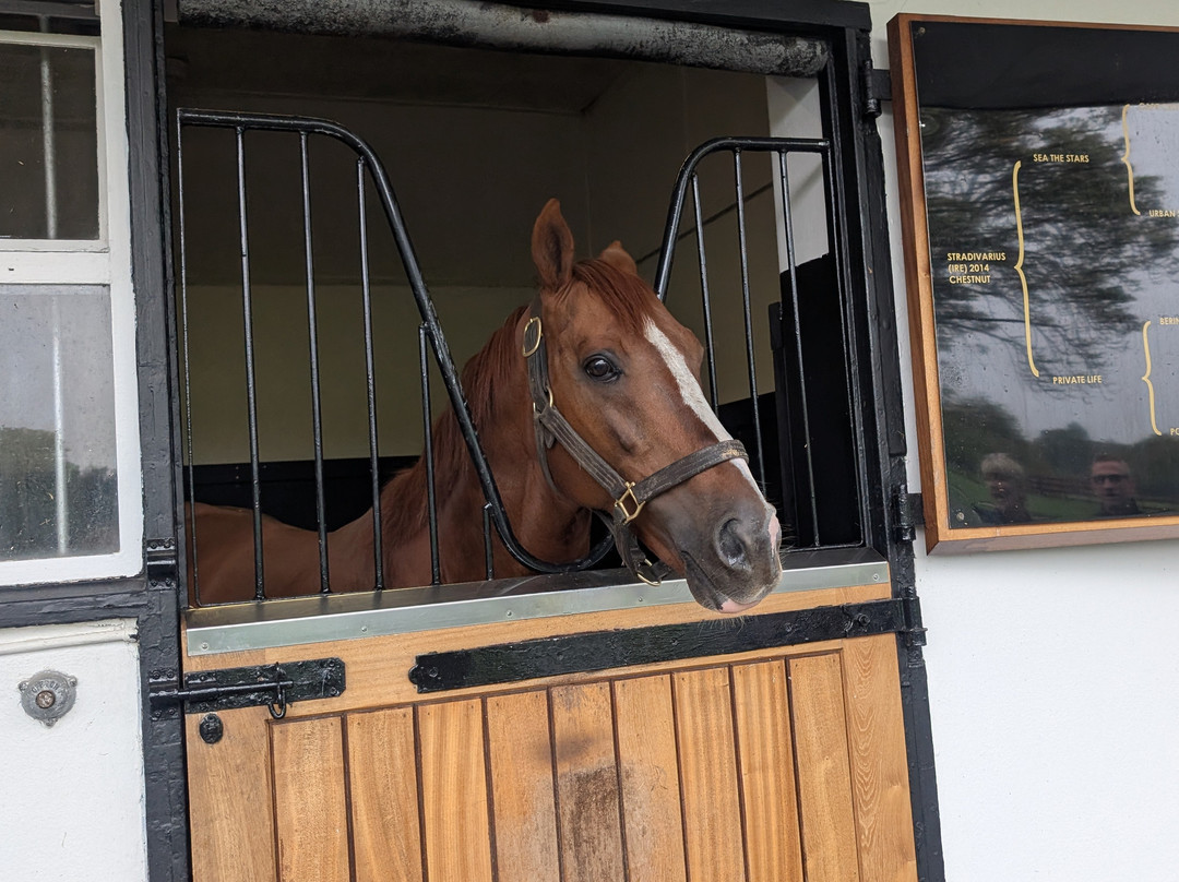 Discover Newmarket Tours-纽马克特必去景点