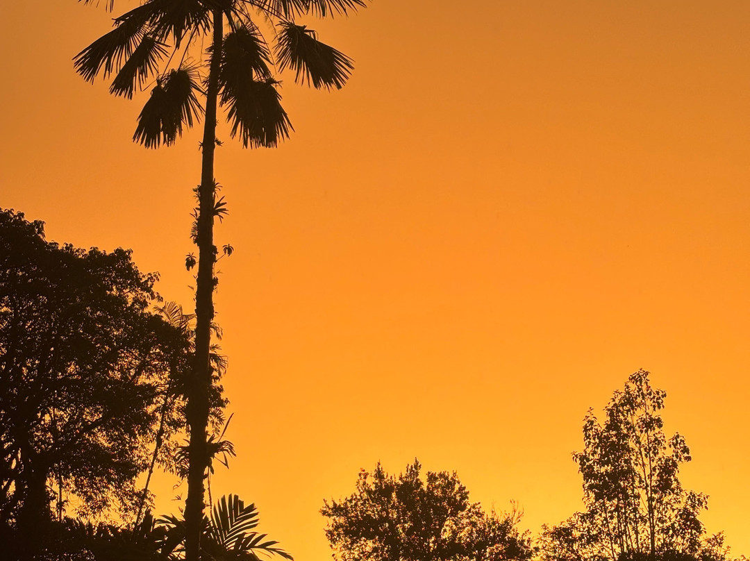 Las Cruces Biological Station and Wilson Botanical Garden-San Vito必去景点