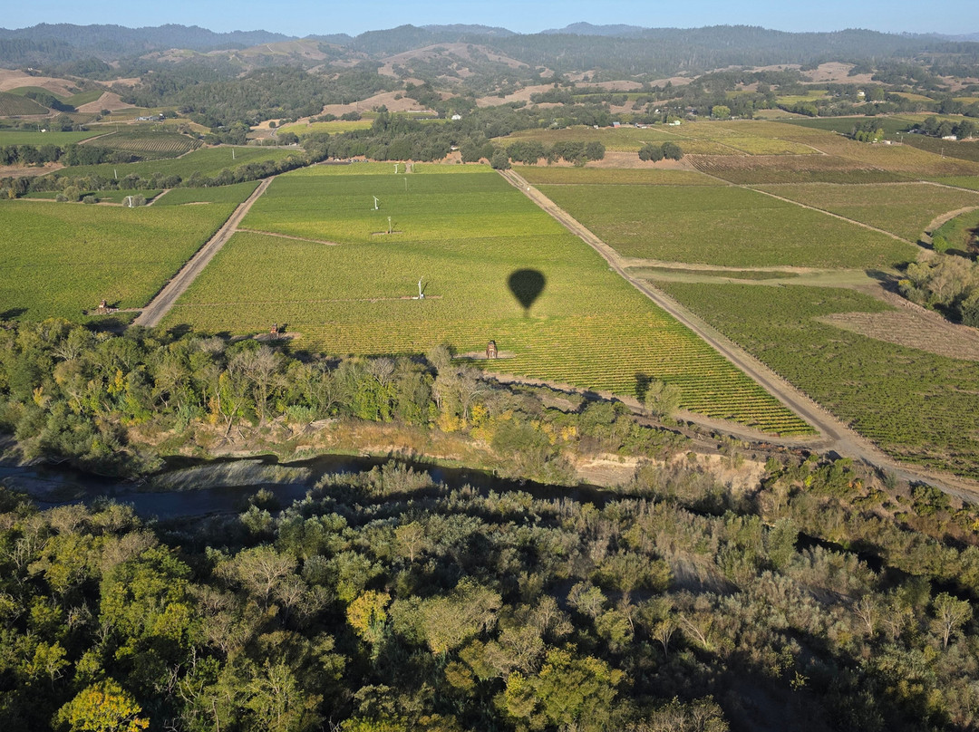 Wine Country Balloons-索诺玛必去景点