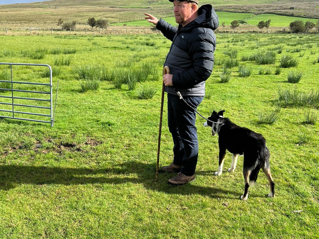 Glen Keen Farm-Derryheigh必去景点