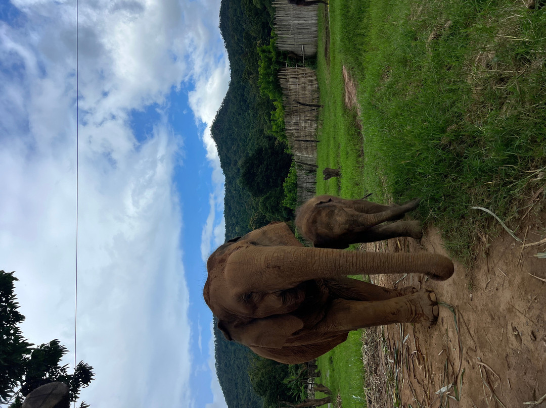 New Elephant Home-Kuet Chang必去景点