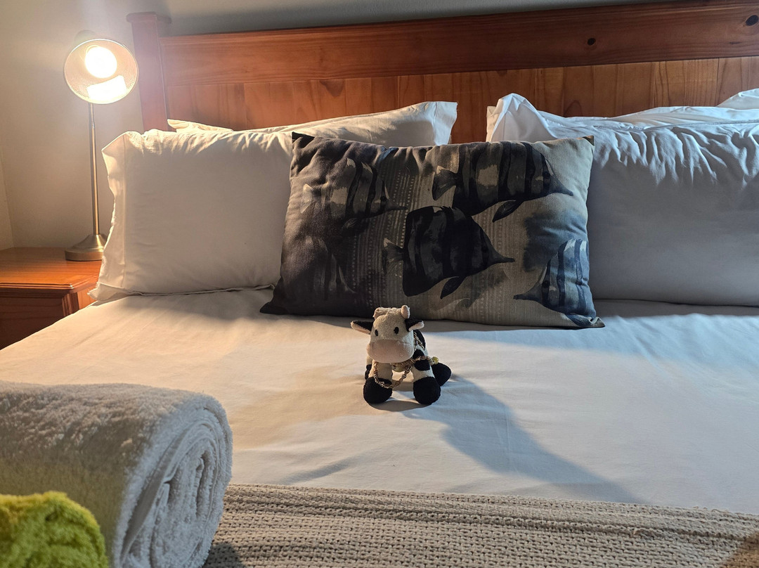 Agulhas House & Diving主图