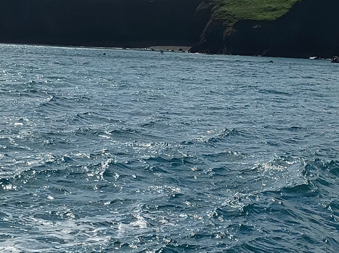 Pembrokeshire Islands Boat Trips-Marloes必去景点