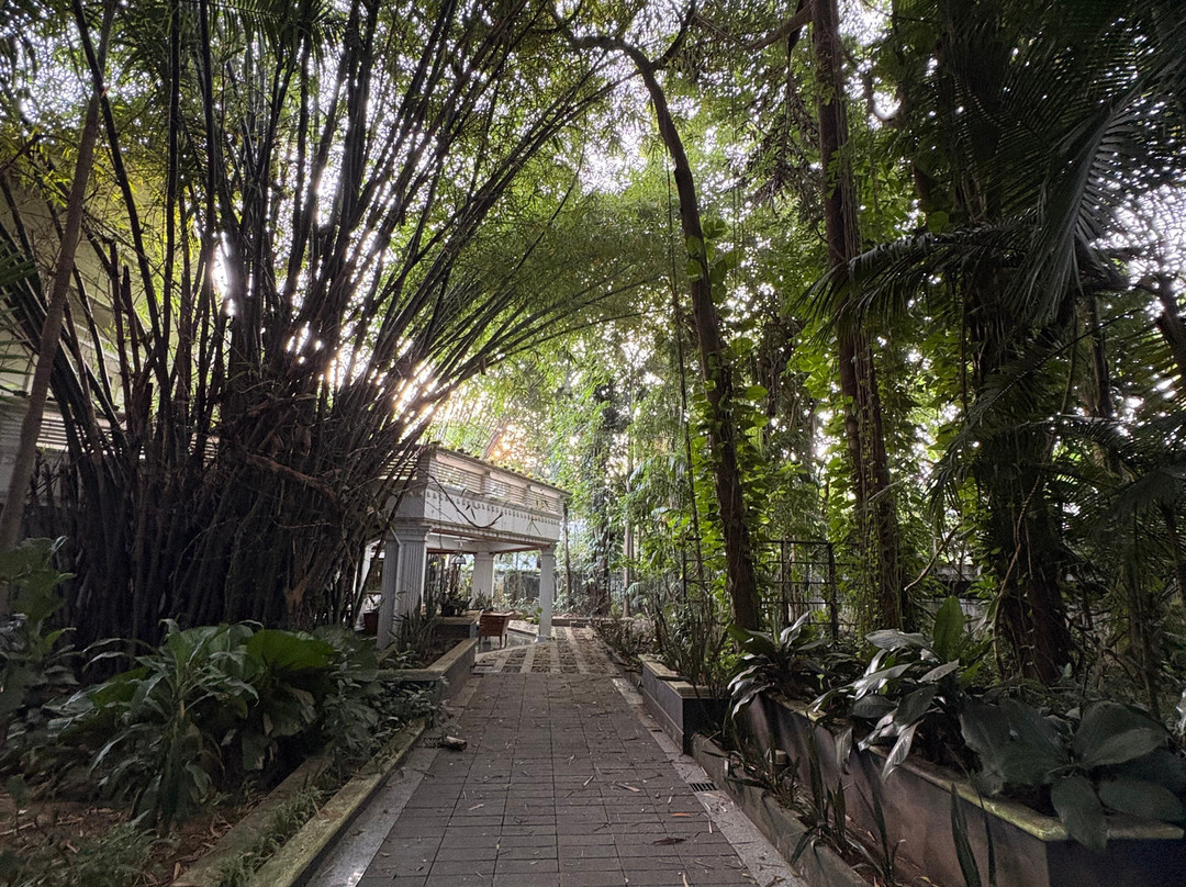 Softouch Ayurveda Village Kerala主图