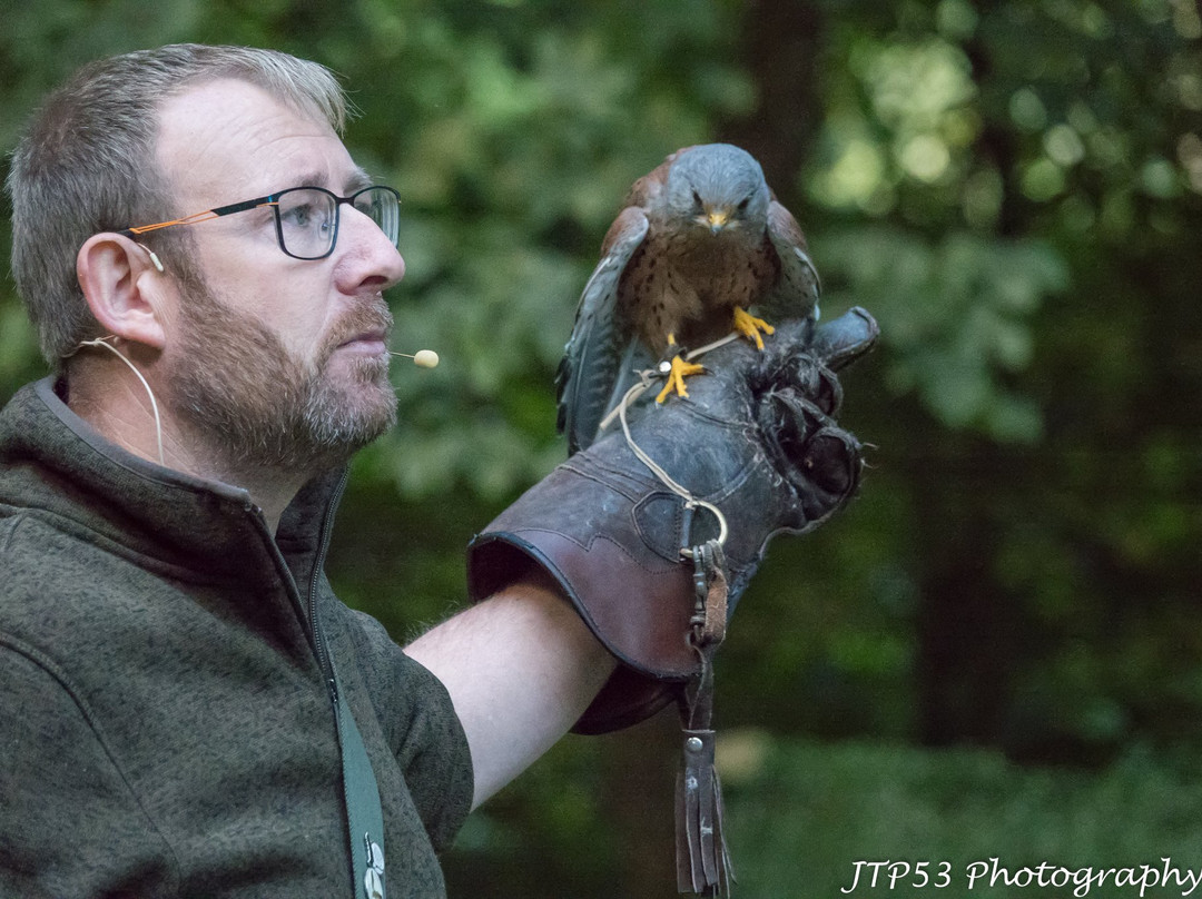 Loch Lomond Bird Of Prey Centre-Balloch必去景点