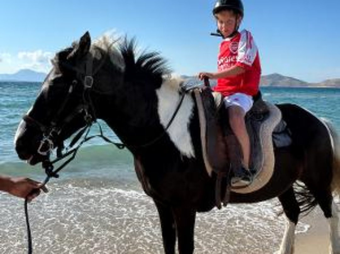 Erika's Horse Farm Kos-Marmari必去景点
