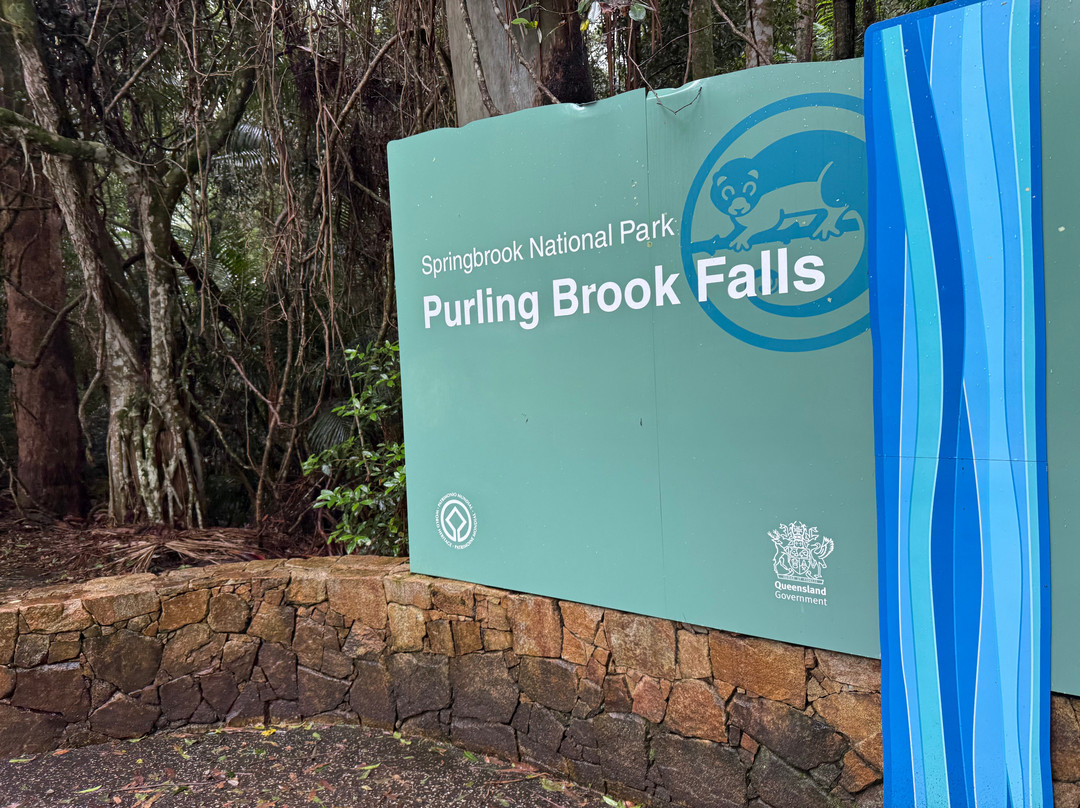 Purling Brook Falls-春之泉必去景点
