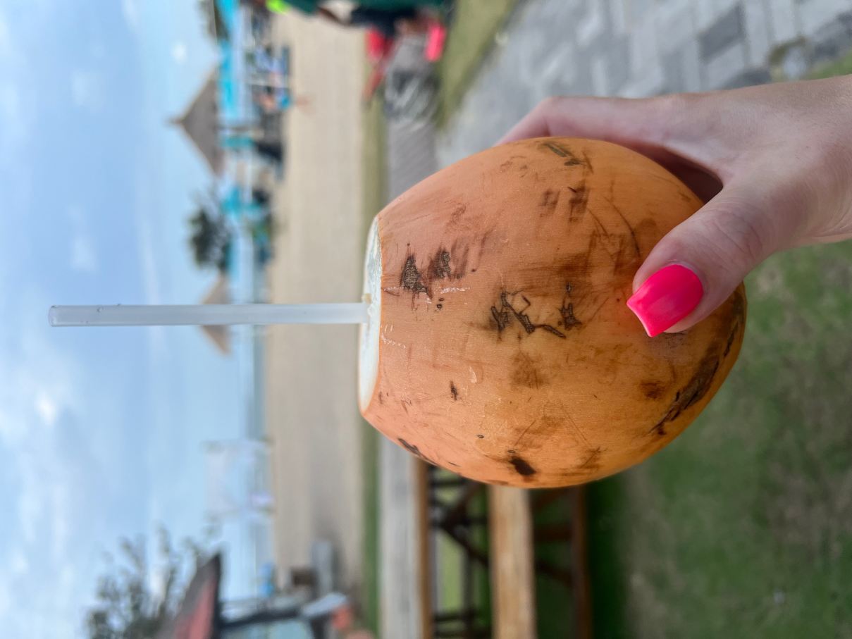 贝诺瓦索尔沙滩别墅美利亚酒店-全包-泳池