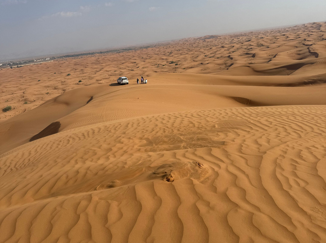Dubai Desert Safari Tours-迪拜必去景点