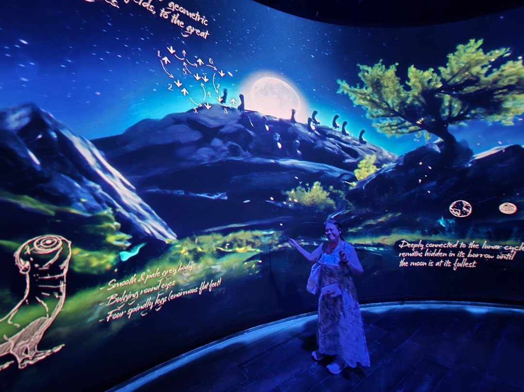 Harry Potter: Visions Of Magic Singapore-圣淘沙岛必去景点