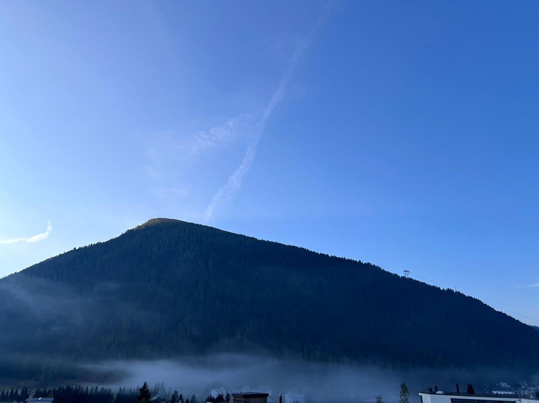 美隆达沃斯瑞士山庄度假酒店主图