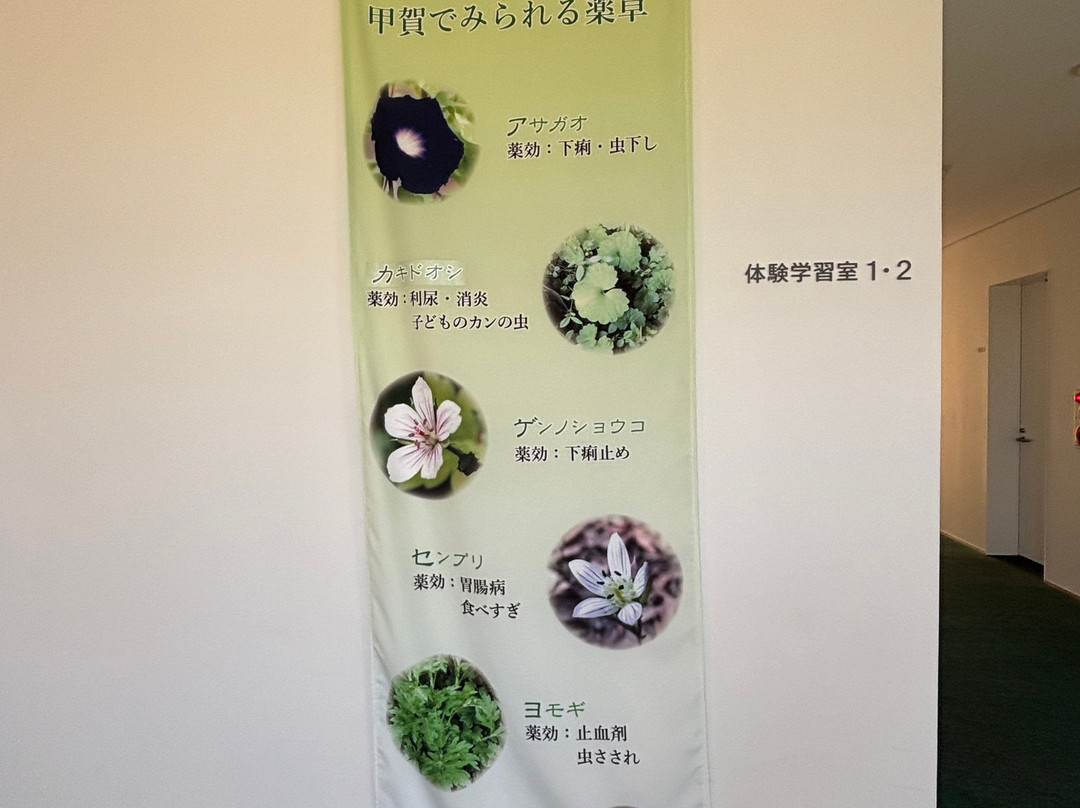 Koka Medicine Museum-甲贺市必去景点