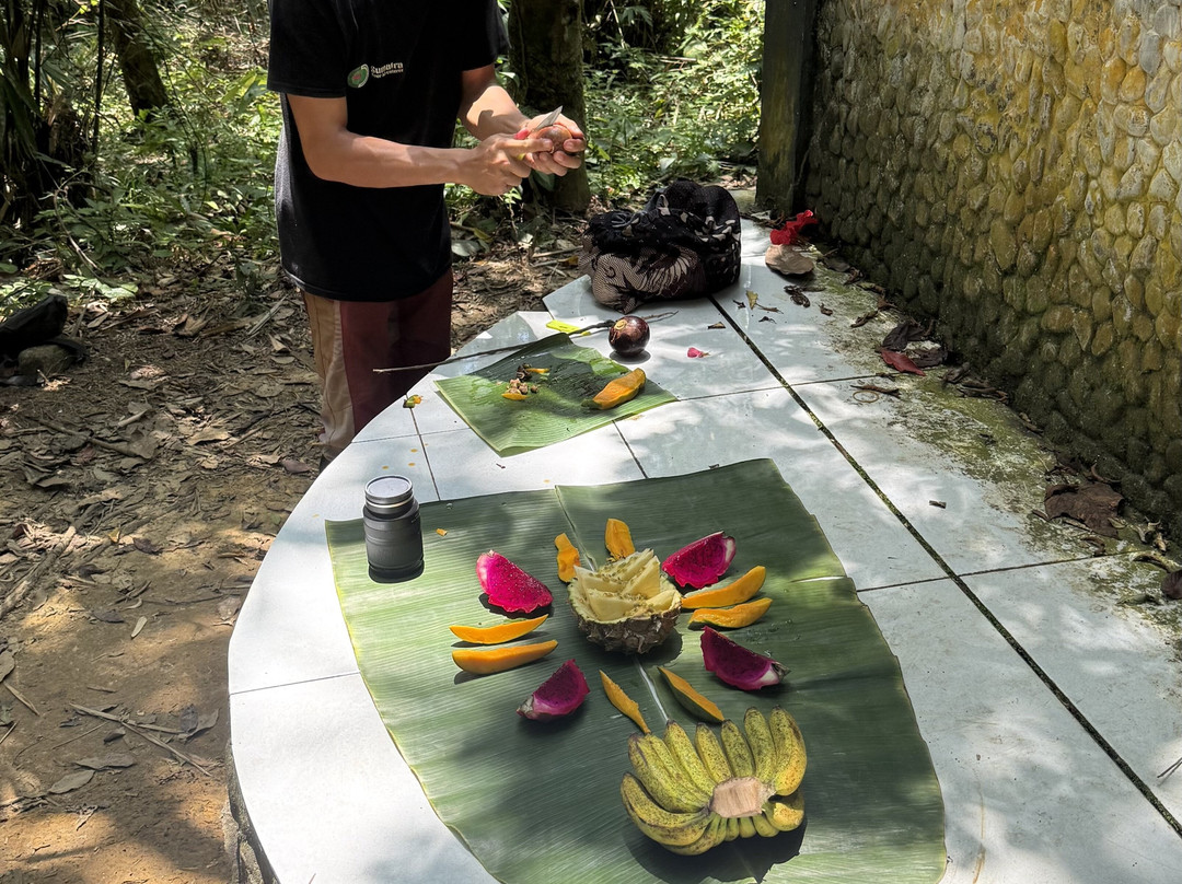 Sumatra Tour Adventures-武吉拉旺必去景点
