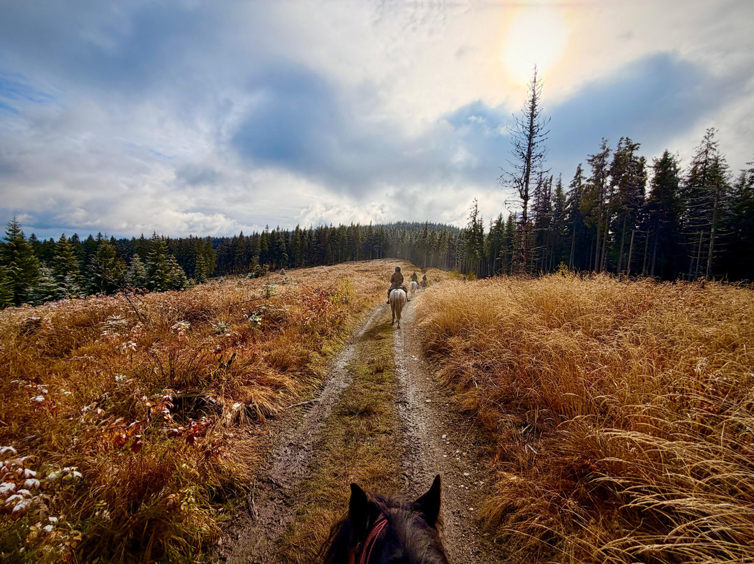 Hipparion Trails-Gheorgheni必去景点