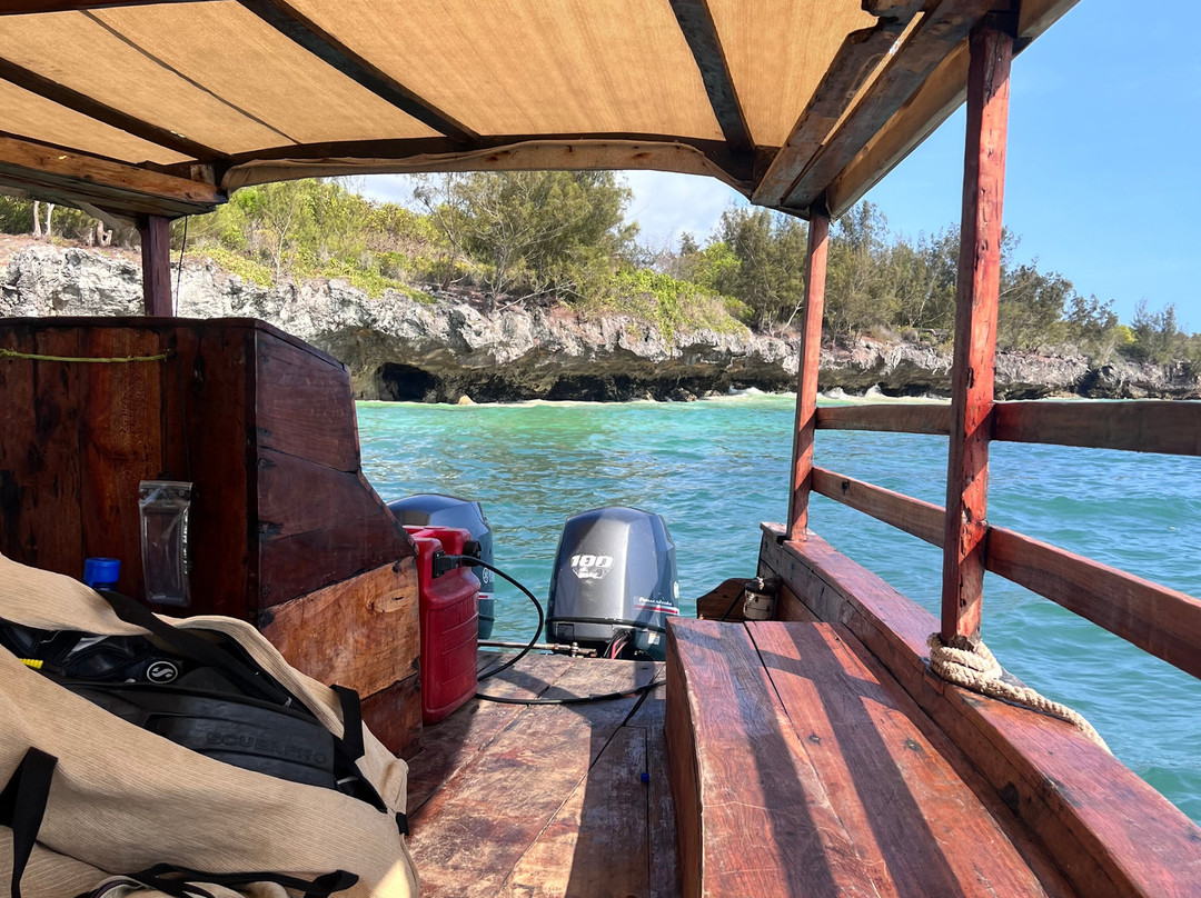 Dive Point Zanzibar-Matemwe必去景点