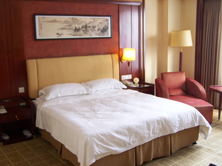 华天大酒店-客卧
