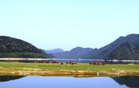 太平湖湿地景点图片