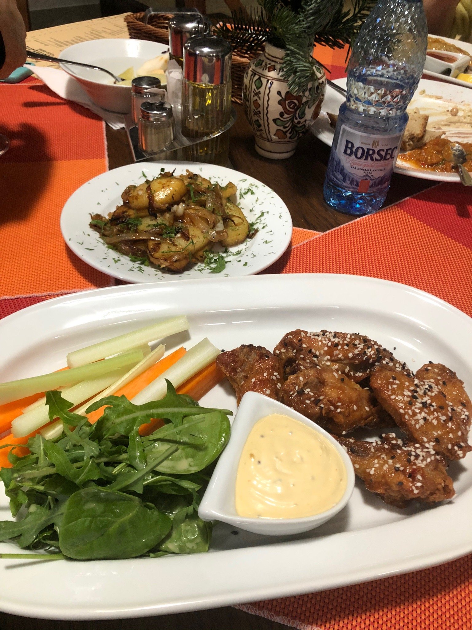 Pensiunea Favorit Ferice-官方
