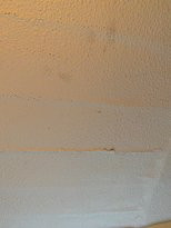 The Kings Head Hotel主图