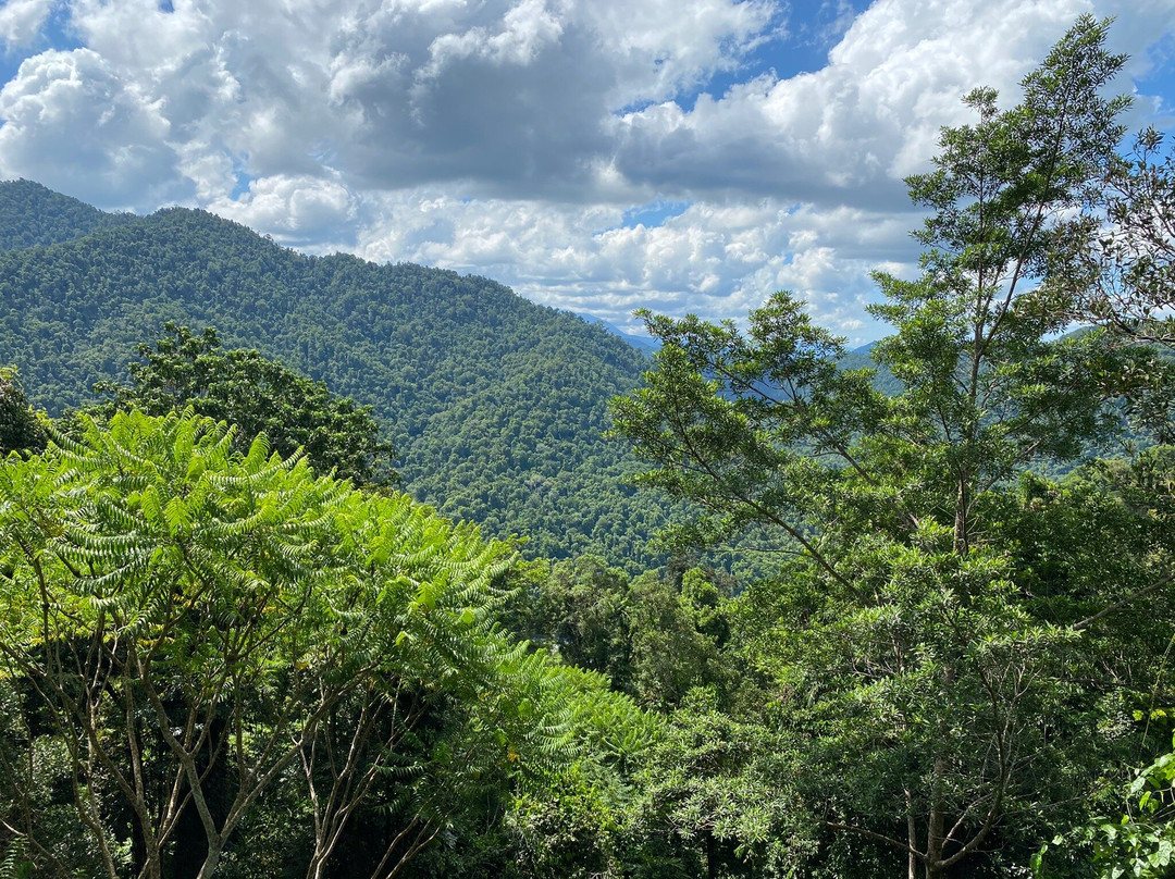 Mamu Tropical Skywalk-因尼斯费尔必去景点