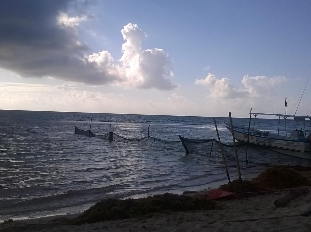 Hotel Arrecifes Costamaya