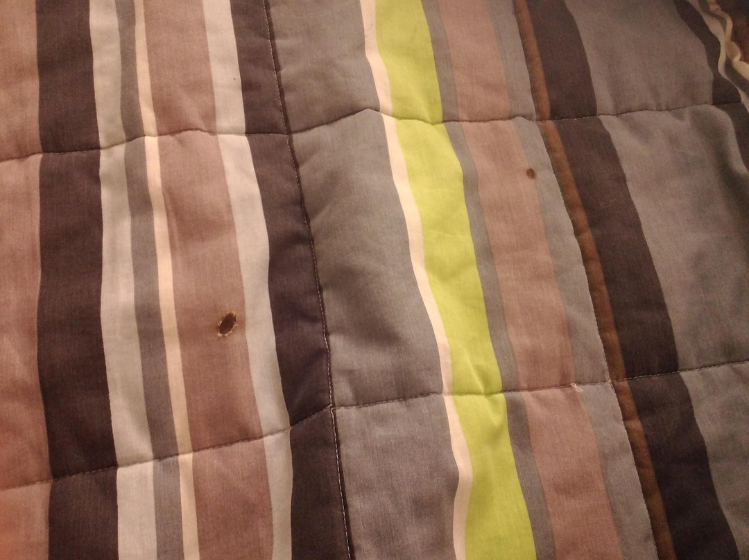 hotelF1 Cergy Pontoise St Martin