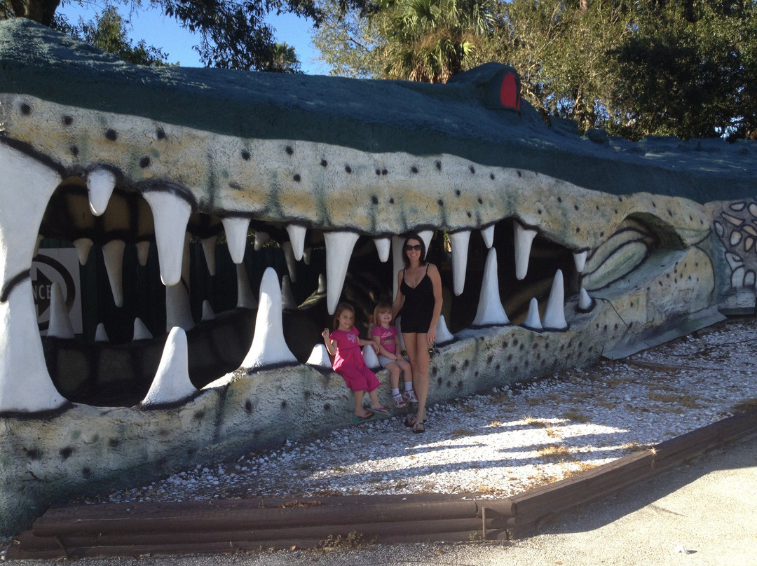 Jungle Adventures A Real Florida Animal Park景点图片