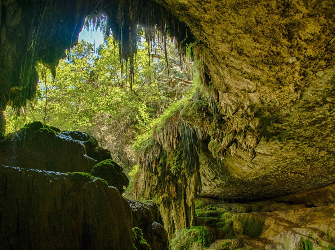 Westcave Outdoor Discovery Center