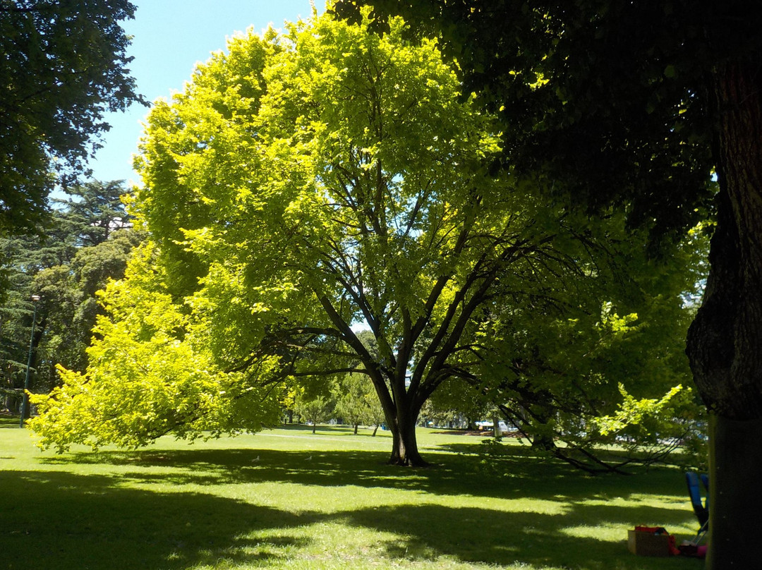 Carlton Gardens-墨尔本必去景点