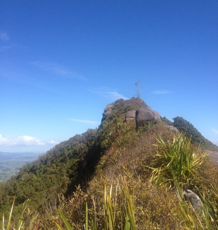 Mount Karioi summit tracks景点图片