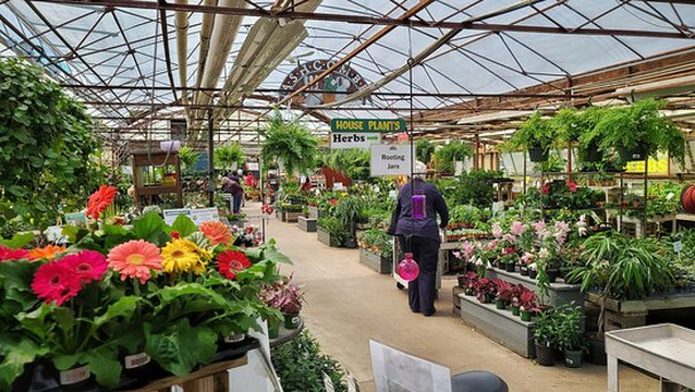 Ashcombe Farm & Greenhouses-梅卡尼克斯堡必去景点