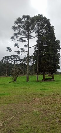 Pousada Butia Ecoturismo主图