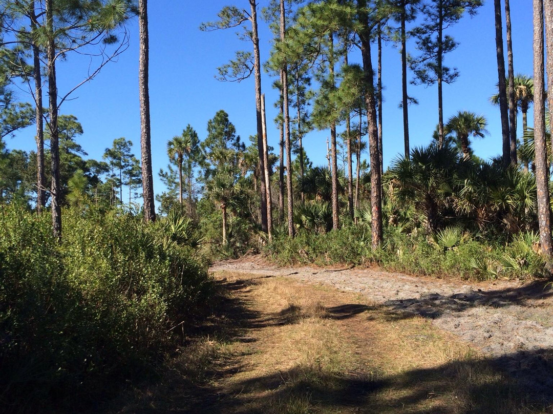 Buck Lake Conservation Area景点图片