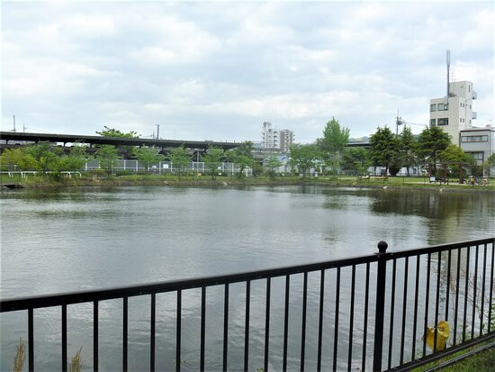 Tainoshoike Park-天理市必去景点