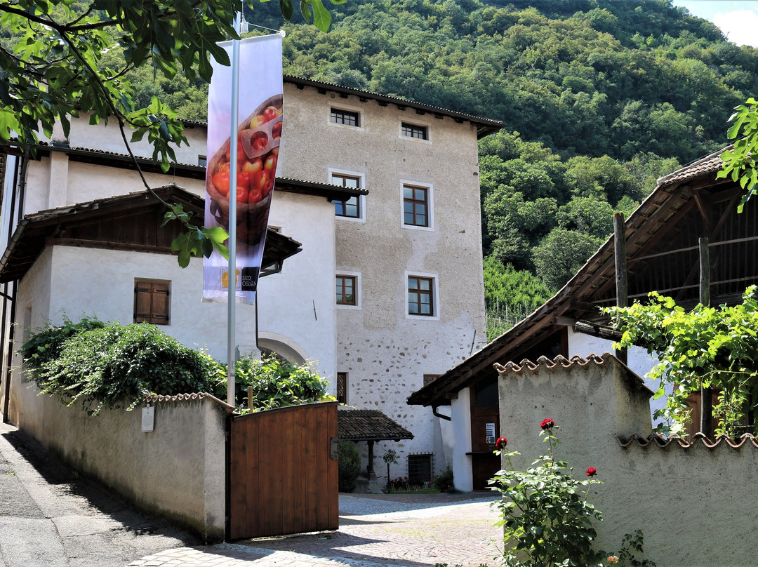 Sudtiroler Obstbaumuseum - Museo di Frutticoltura Lana景点图片