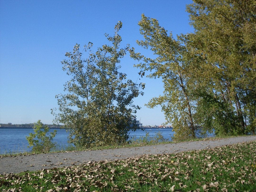 Parc Marie-Victorin景点图片