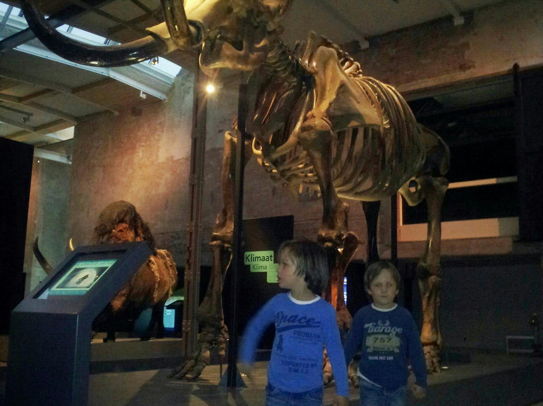 De Museumfabriek