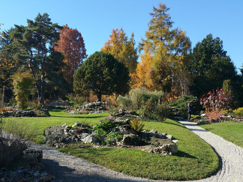 日内瓦旅游景点-Jardin botanique de Genève