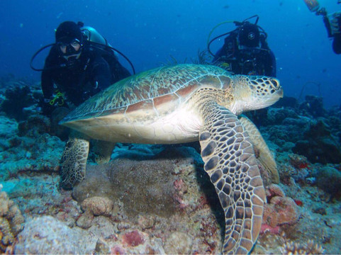 Okinawa 39ers-北谷町必去景点