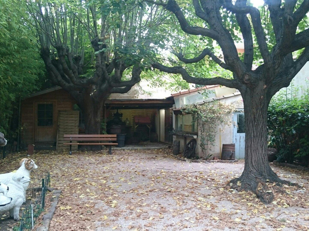 Musée d'Histoire Locale et des Traditions景点图片