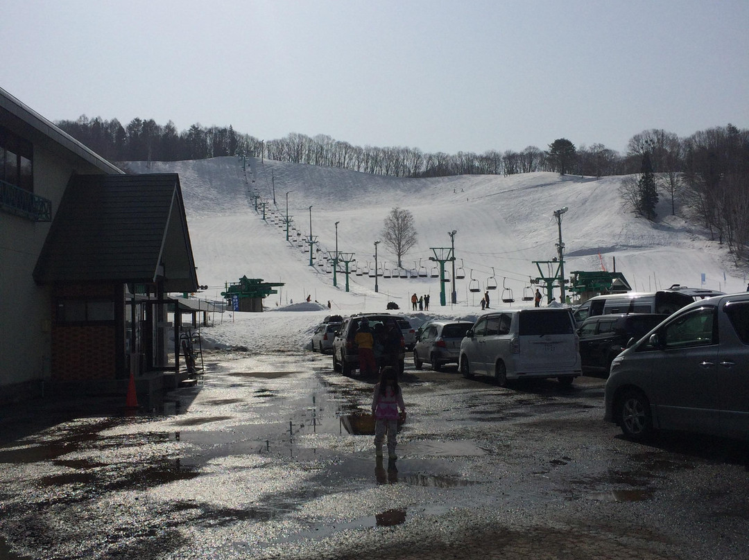 Fujiwara Snow&Spa Resort景点图片
