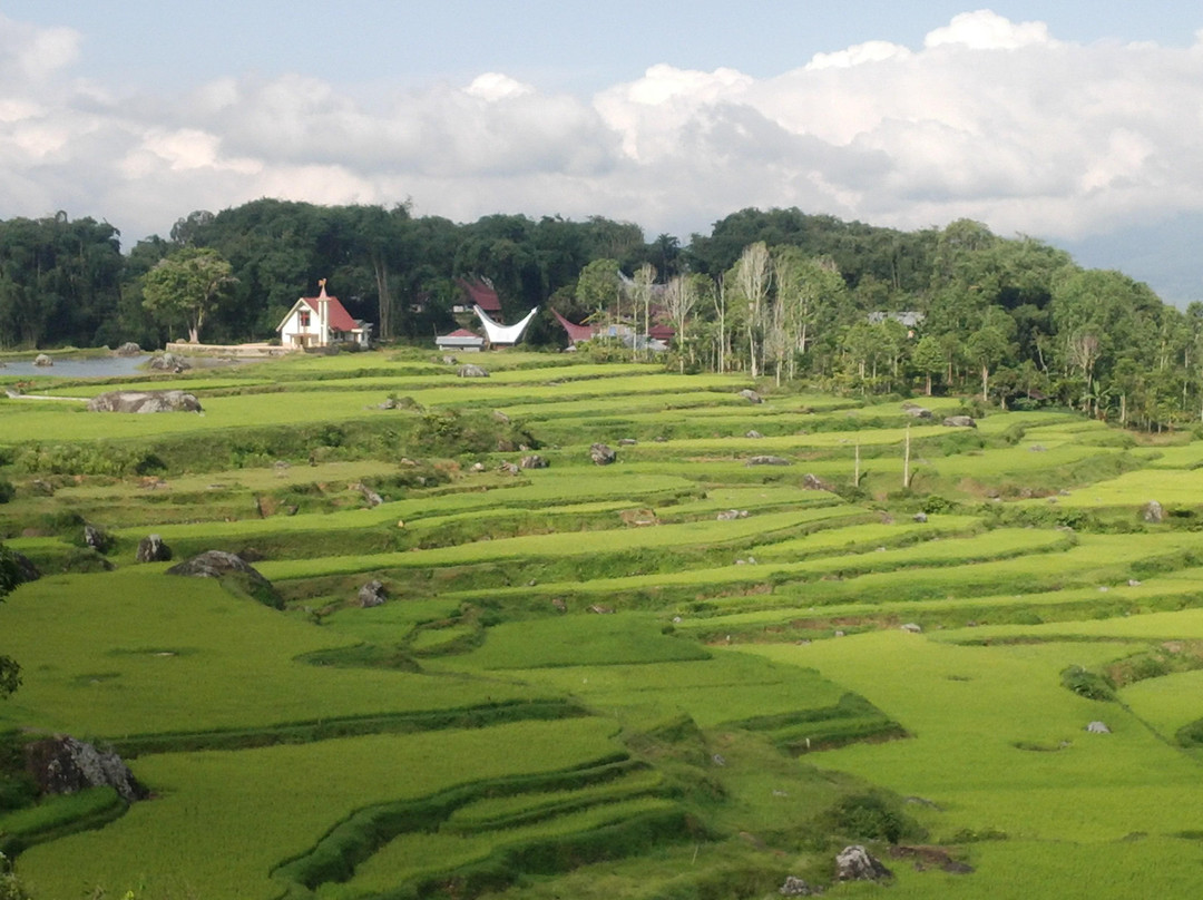 Sulawesi Culture and Nature Tour景点图片