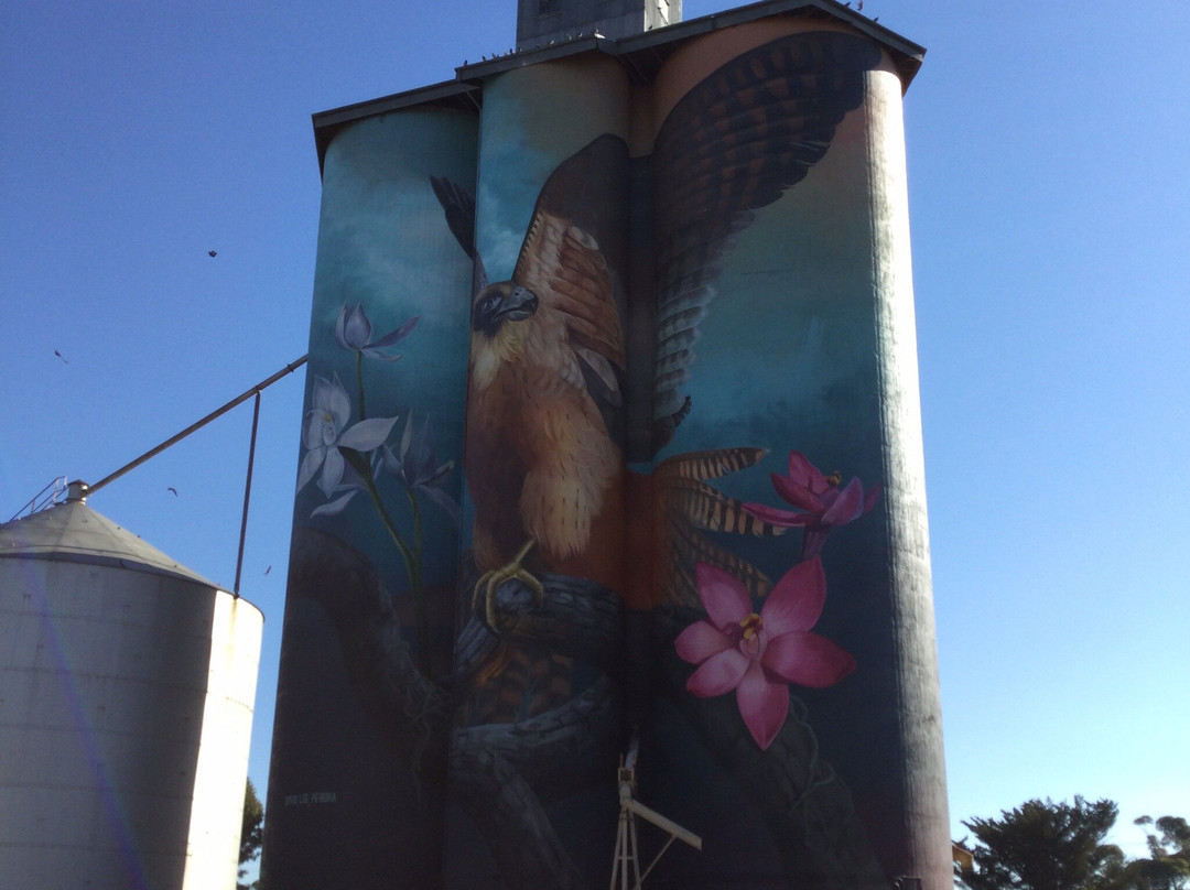 Kaniva Silo Art