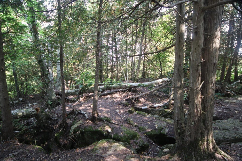 Duncan Escarpment Provincial Nature Reserve景点图片